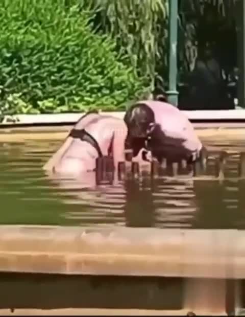 Hombre intenta ahogar a su esposa en una piscina pública
