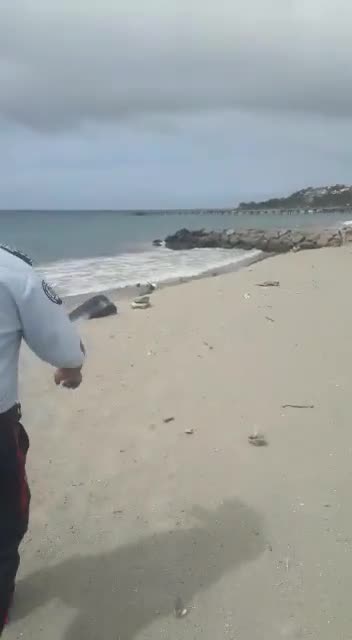 Policia encuentra dominicanos en playa haciendo Trio