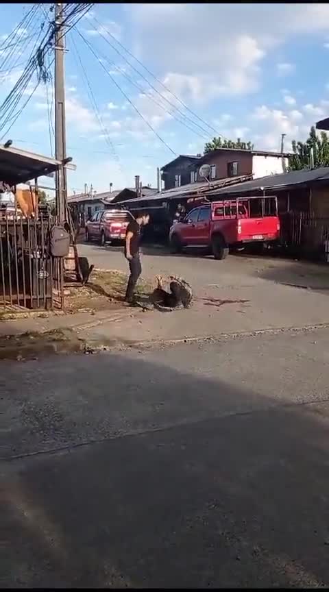 Video hombre mata Hermano en San Jose de la Meriquina